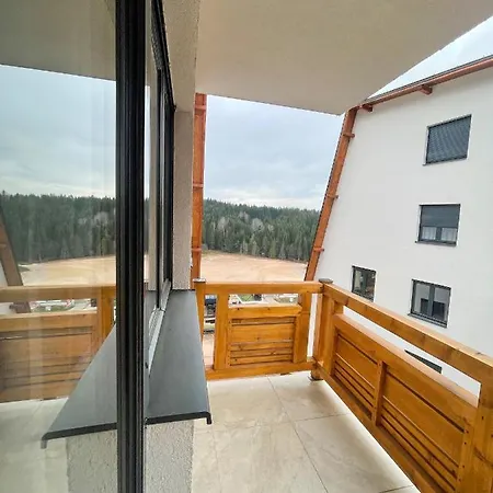 Apartment Maksim Ravna Planina *