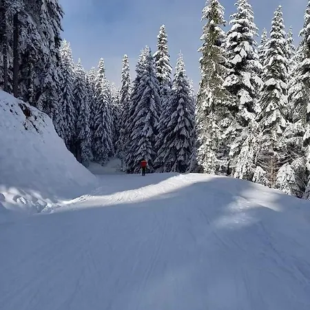 Maksim Ravna Planina Pale